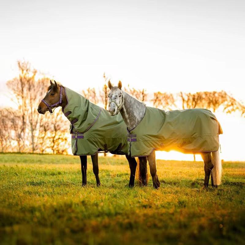 Turnout Rugs