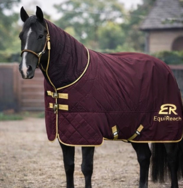 Titan Turnout Rug Burgandy - Heavyweight