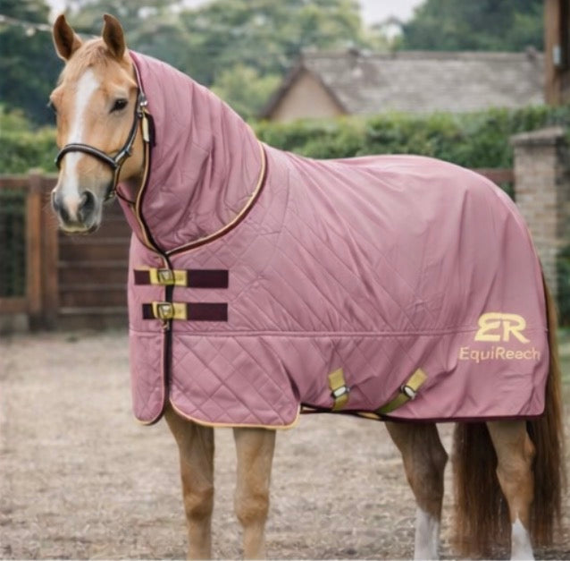 Titan Turnout Rug Blush- Heavyweight