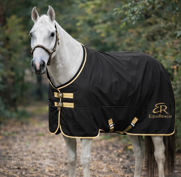 Element Turnout Rug Coal - Lightweight