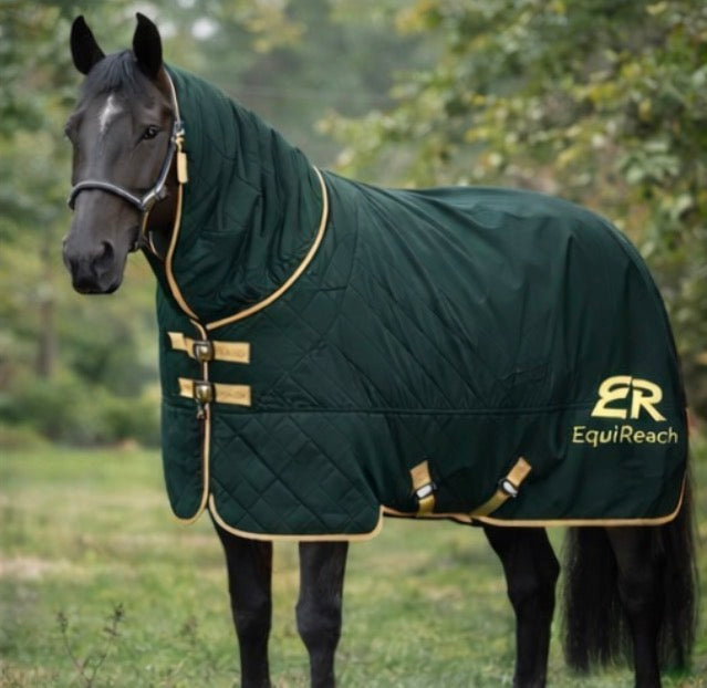 Titan Turnout Rug Forrest - Heavyweight
